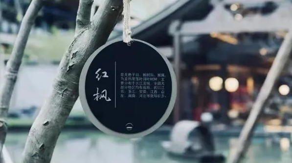 深圳品牌設計作品案例展示