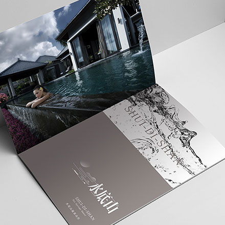 VI公司作品案例展示