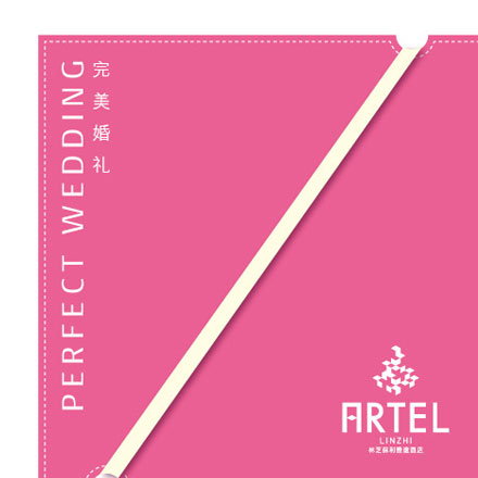 VI公司作品案例展示