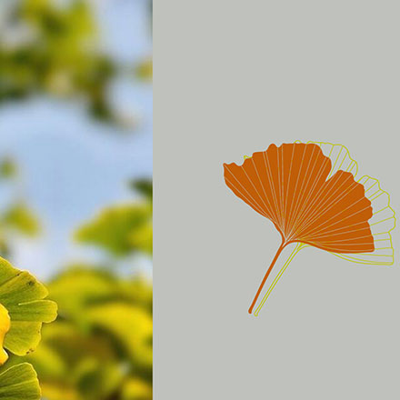 深圳vi設計作品案例展示